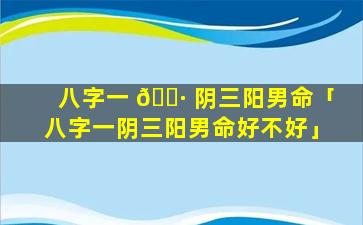 八字一 🌷 阴三阳男命「八字一阴三阳男命好不好」